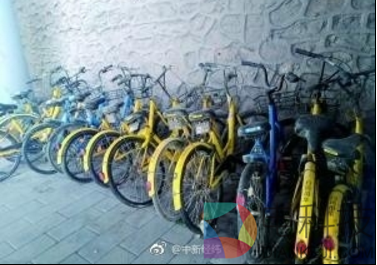 北京一河段放水浮出30余辆共享单车 车身长满绿毛