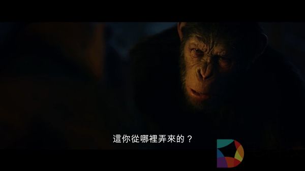 《猩球崛起3》新中字预告 又一只会说话的猩猩登场