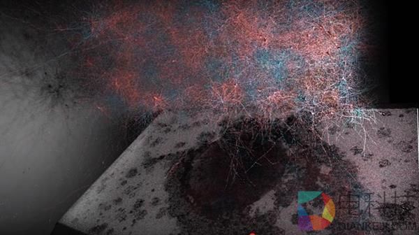 科学家破解意识之谜 人脑或在11个维度上运行