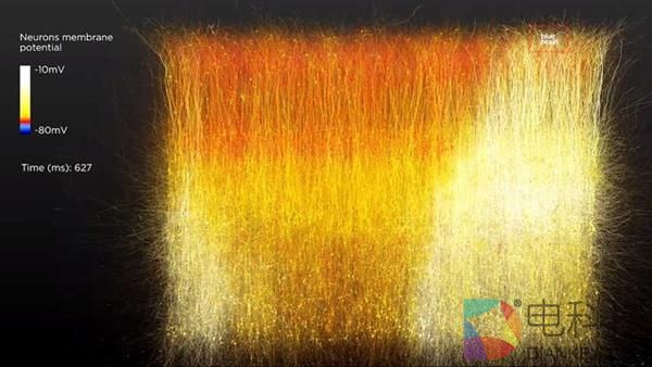 科学家破解意识之谜 人脑或在11个维度上运行