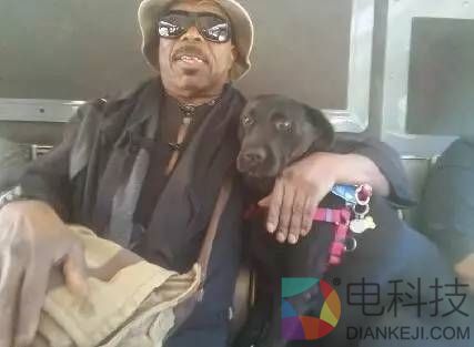 这只狗每天自己坐公交去公园：坚持了四年