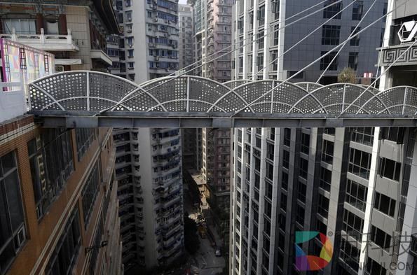 重庆百年大树穿过三层楼：从不开空调