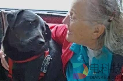 这只狗每天自己坐公交去公园：坚持了四年