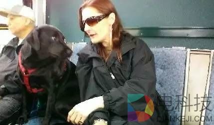 这只狗每天自己坐公交去公园：坚持了四年