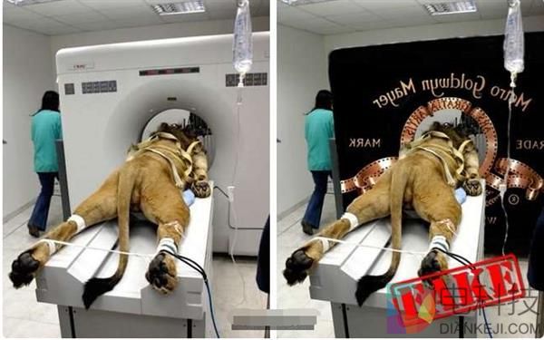 13张疯传的假照片 总有一张曾经骗过你