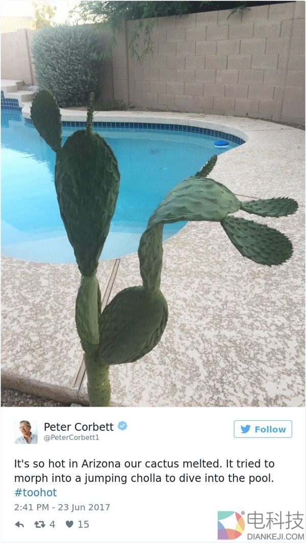 美国凤凰城高温逼疯人类 墙都晒化了……