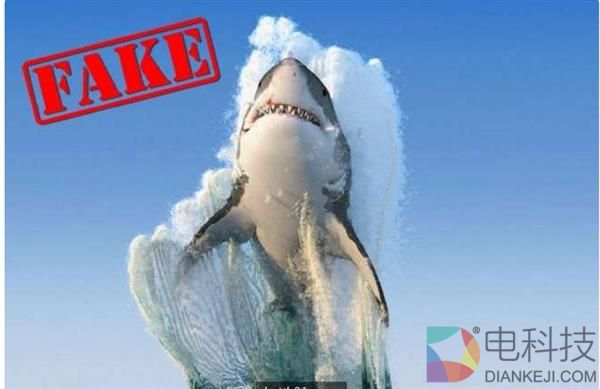 13张疯传的假照片 总有一张曾经骗过你