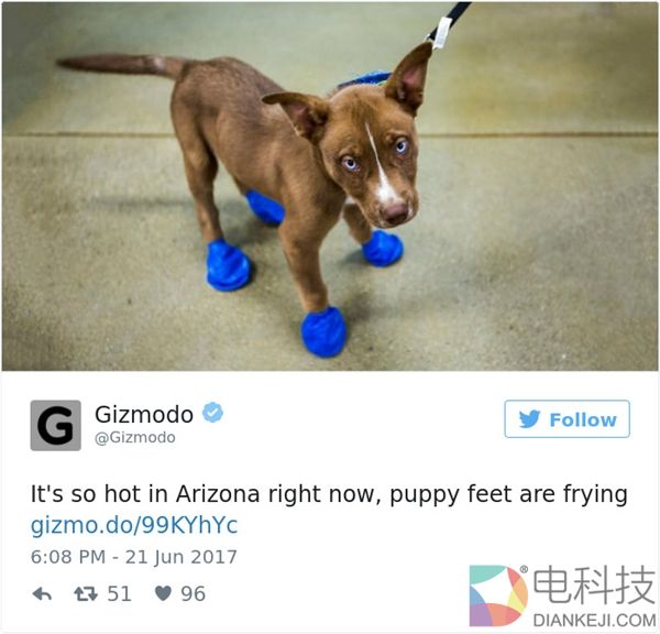 美国凤凰城高温逼疯人类 墙都晒化了……