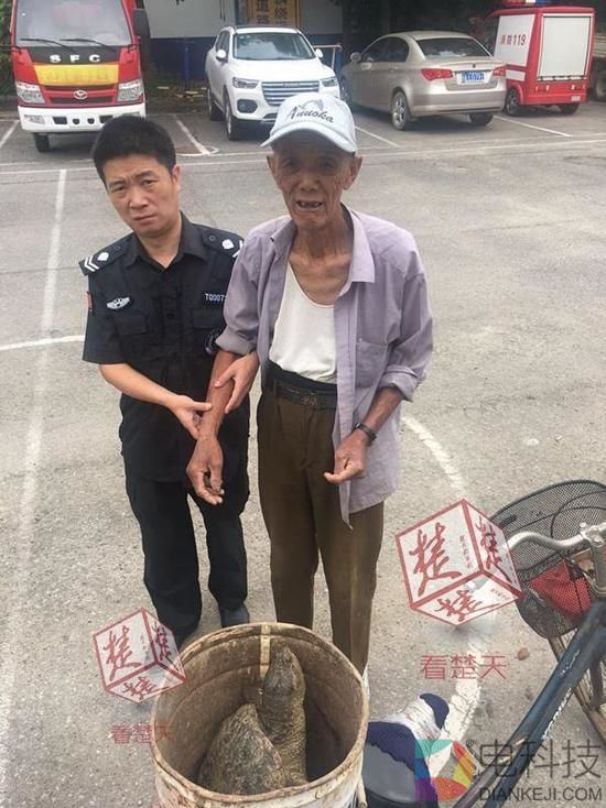 八旬老汉捡到大龟 专家:吃了吧
