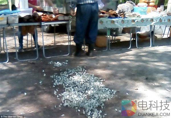 成千上万只蝴蝶入侵西伯利亚 铺天盖地 场面壮观