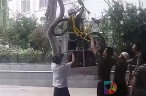 破坏者玩出新“高度” 两辆共享单车被挂树稍