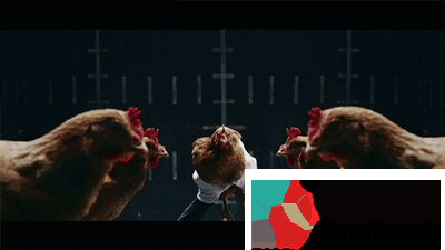 鸡头居然比砒霜还要毒？