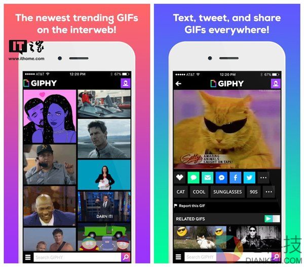 Giphy iOS版更新：可将GIF动图转换为Live Photo