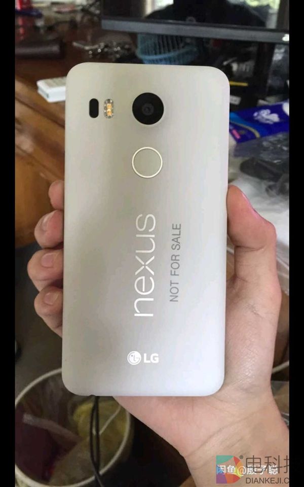 闲鱼惊现谷歌Nexus 5X工程机：运行Win10 Mobile