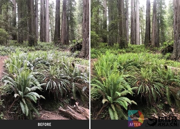 用iPhone拍出大片感 你可能还差一个小巧的它