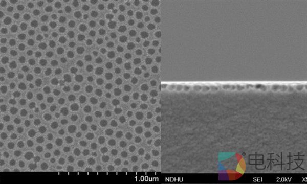 神奇！这种飞行动物让手机屏幕完美：防眩光、自清洁...