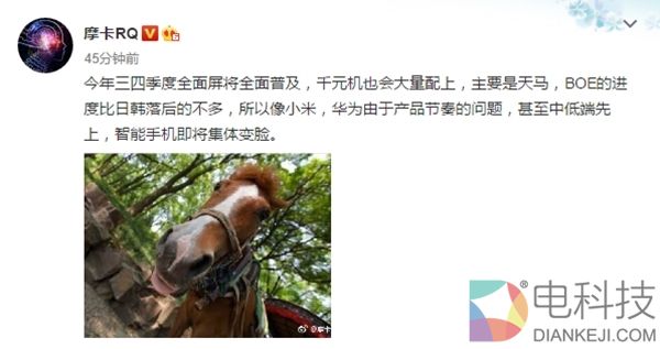 国产全面屏产能大爆发！千元机、中端机加速普及