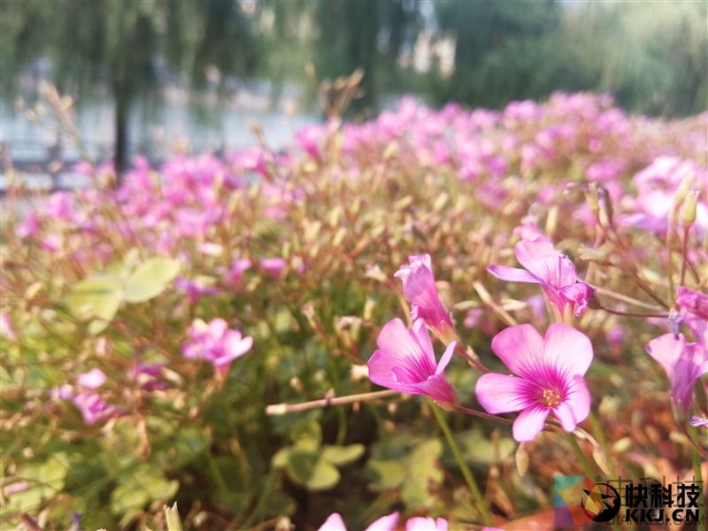 麒麟960最低价！荣耀9评测：颜值堪比胡歌