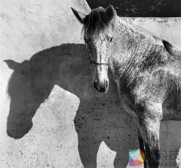 这些照片都是用iPhone拍摄的 比单反效果还惊艳