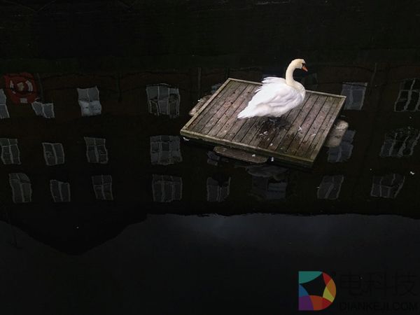 这些照片都是用iPhone拍摄的 比单反效果还惊艳