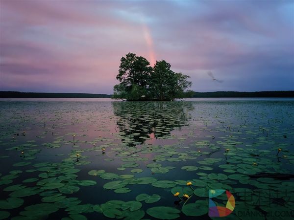 这些照片都是用iPhone拍摄的 比单反效果还惊艳