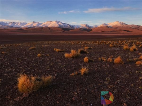 这些照片都是用iPhone拍摄的 比单反效果还惊艳