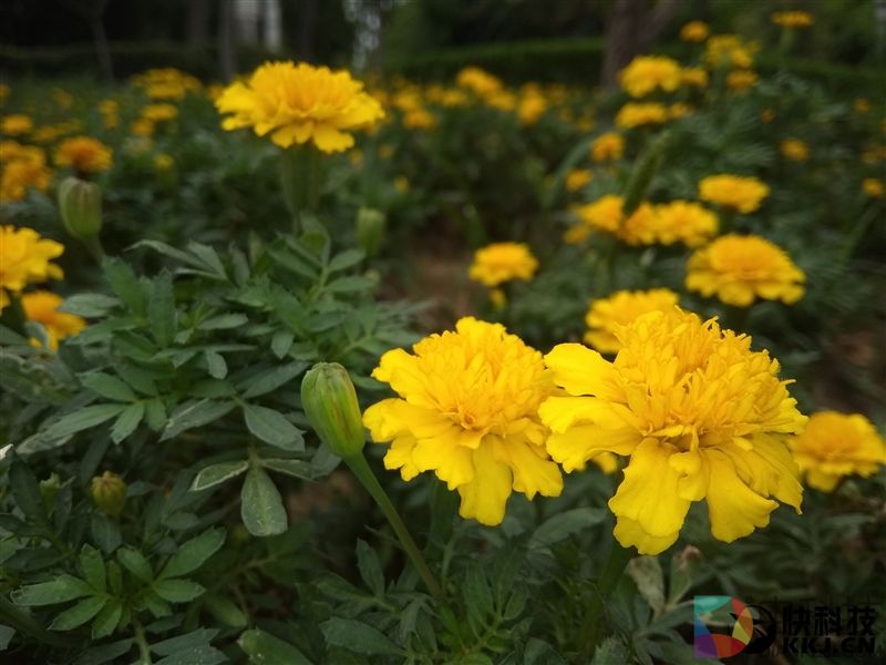 等着卖爆!红米Note 5A高配版评测:1600万柔光自拍