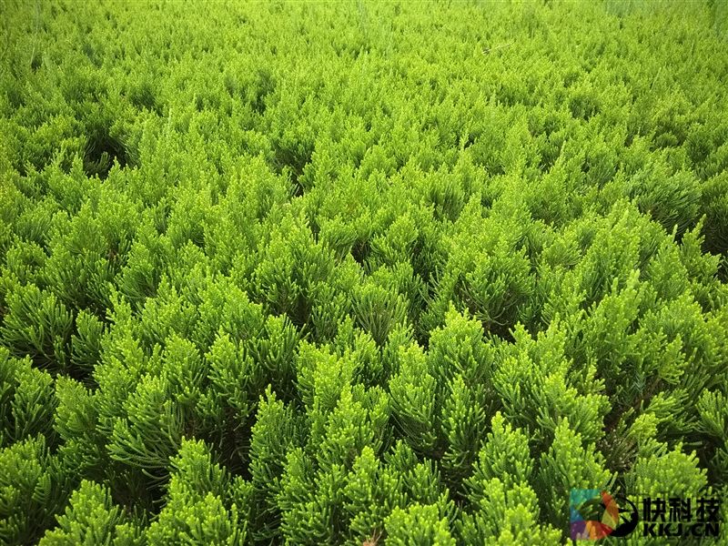 等着卖爆!红米Note 5A高配版评测:1600万柔光自拍