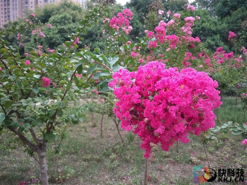 等着卖爆!红米Note 5A高配版评测:1600万柔光自拍