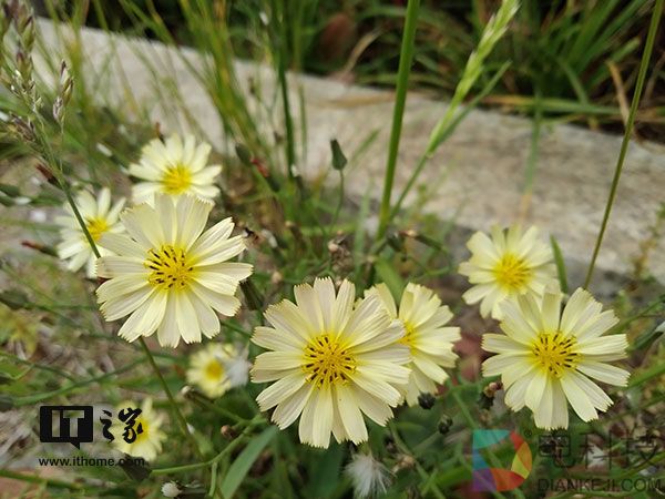 千元机的“流畅族”:荣耀畅玩6A手机体验评测