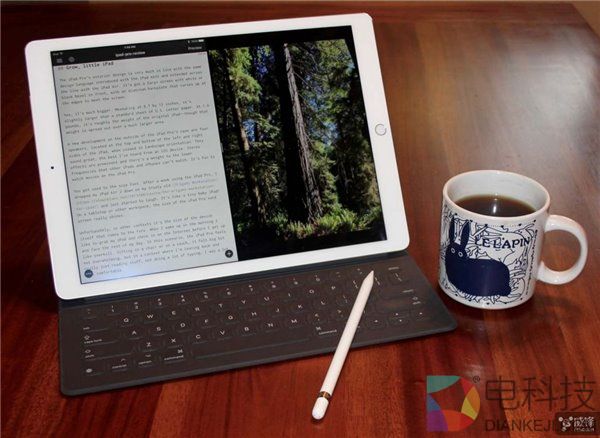 开发者都等不下去：iPad Pro该变变了