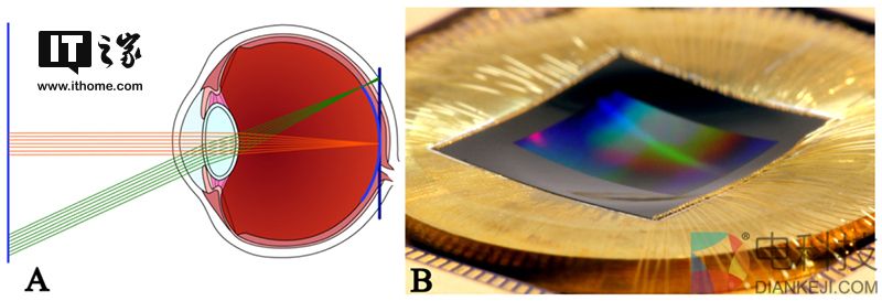 黑科技：微软研发曲面相机传感器，成像非一般的锐利