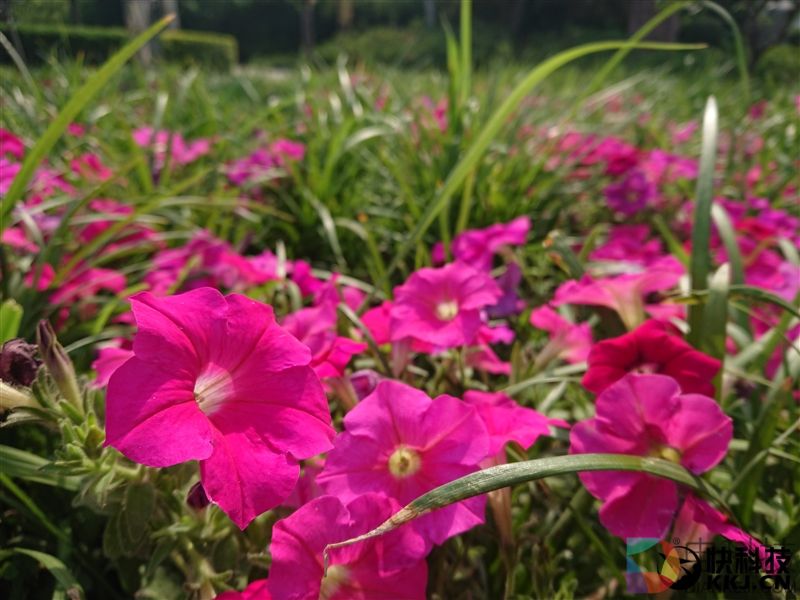 最强黑科技！4K屏+960帧慢动作：索尼Xperia XZ Premium评测