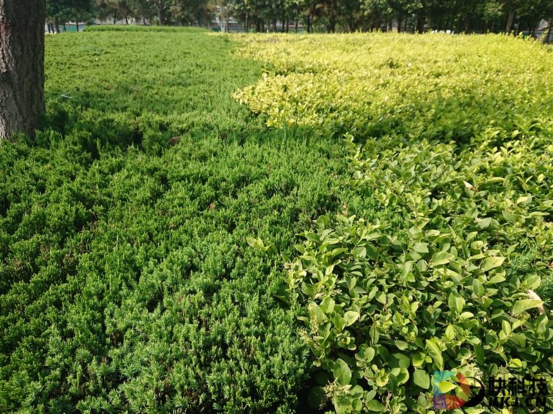 最强黑科技！4K屏+960帧慢动作：索尼Xperia XZ Premium评测