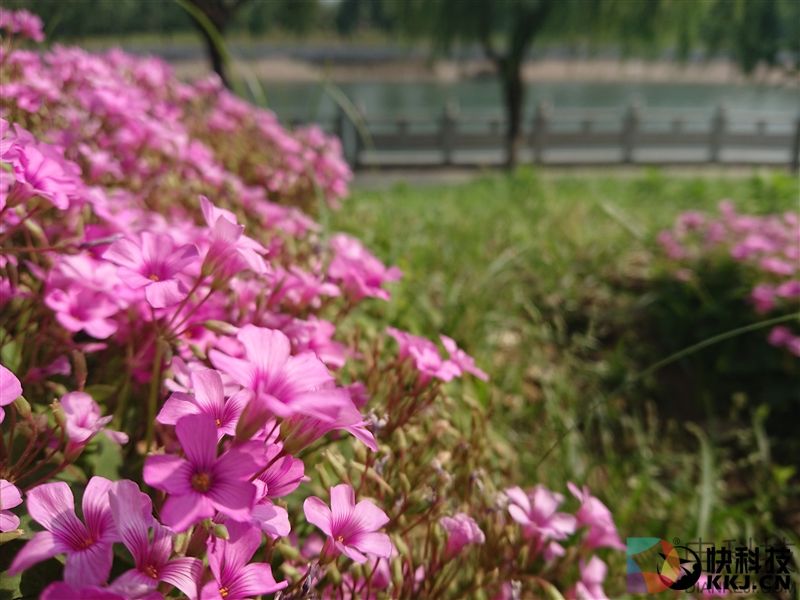 最强黑科技！4K屏+960帧慢动作：索尼Xperia XZ Premium评测