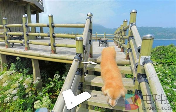 史上最可爱谷歌街景 全球网友都想来这里了