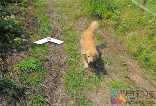 史上最可爱谷歌街景 全球网友都想来这里了