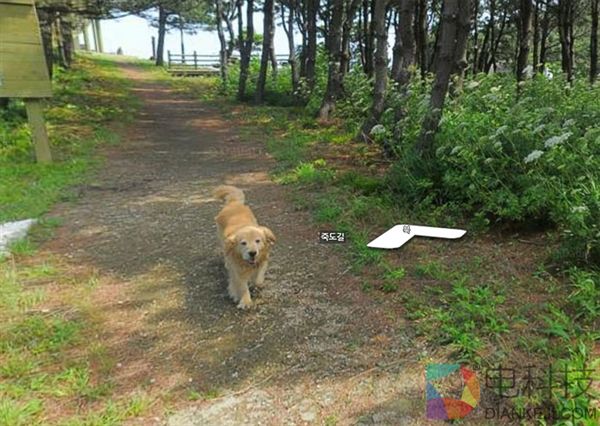 史上最可爱谷歌街景 全球网友都想来这里了