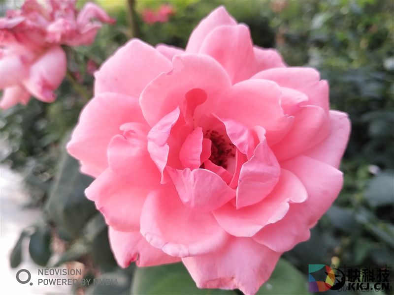 外媒眼中的国产最强机！nubia Z17体验评测：无边框+变焦双摄