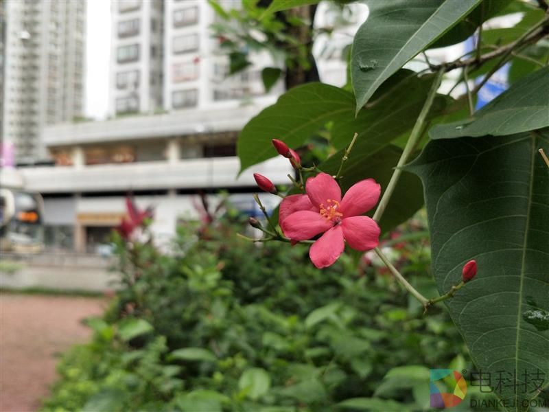 安卓版iPhone 7P到底如何？一加5详细评测：快到没朋友