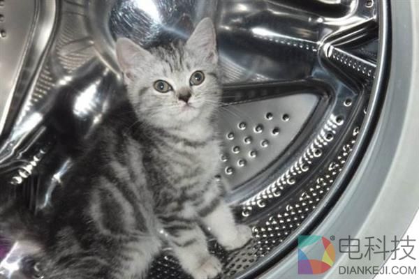 全自动洗衣机滚筒好还是波轮好?扒开看个明白