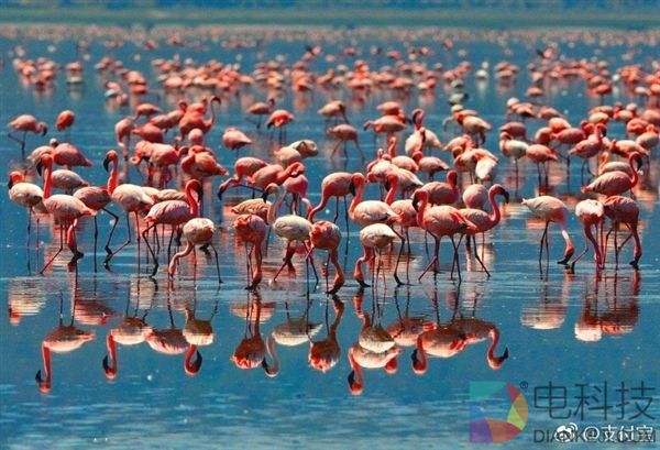 支付宝拿下非洲最富国家 南非观光巴士可支付宝买票