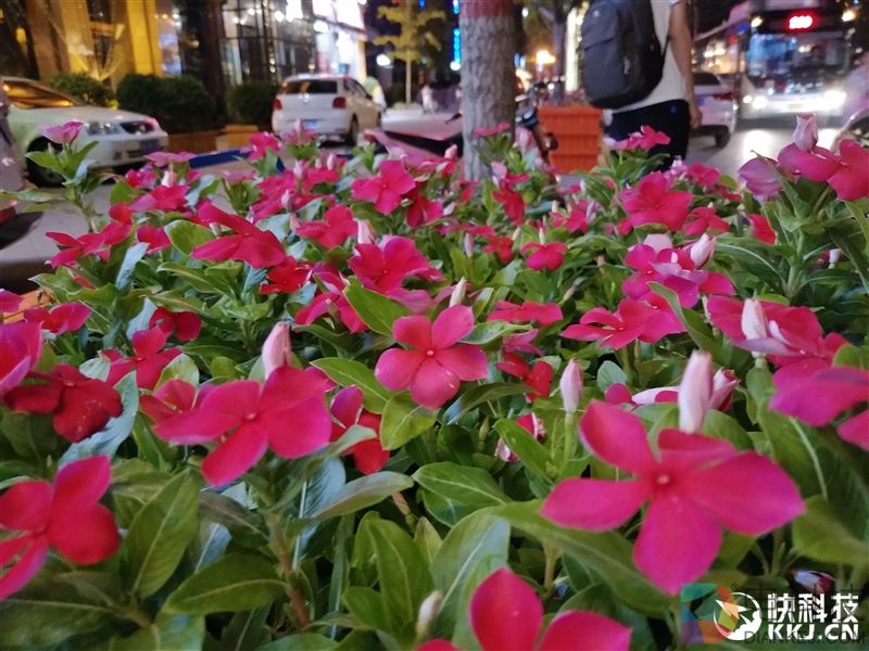 柔光双摄再升级!vivo X9s评测:抢眼的自拍表现