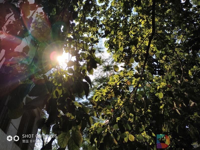 魅蓝Note6评测：讲真，你还有其他千元双摄可以选择了吗？