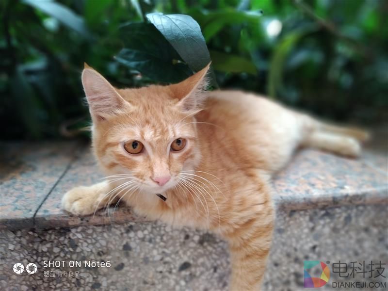 魅蓝Note6评测：讲真，你还有其他千元双摄可以选择了吗？