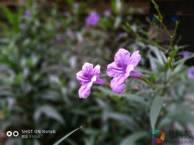 魅蓝Note6评测：讲真，你还有其他千元双摄可以选择了吗？