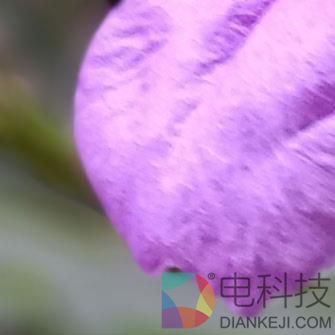 魅蓝Note6评测：讲真，你还有其他千元双摄可以选择了吗？